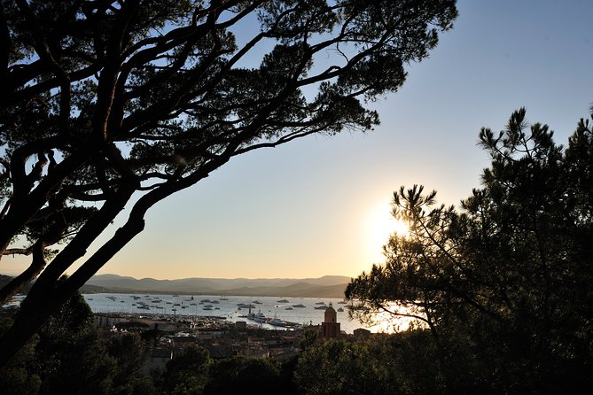 Saint-Tropez and Port Grimaud Day from Nice Small-Group Tour - The market days: food stalls, timing, and how not to miss it