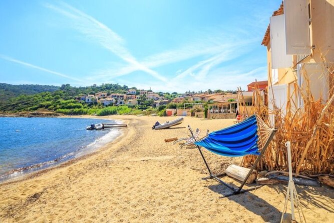 Saint Tropez Full Day Shared Tour from Nice - Choosing Between Annonciade Museum and the Citadel