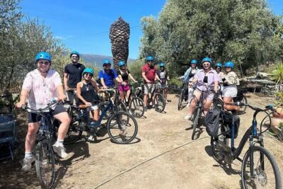 Small Group Guided E-Bike Tour in Nice’s Organic Vineyard - The organic vineyard visit and tasting: what you’ll actually learn