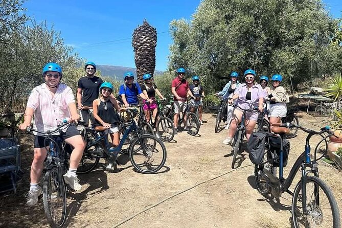 Small Group Guided E-Bike Tour in Nice’s Organic Vineyard - The organic vineyard visit and tasting: what you’ll actually learn