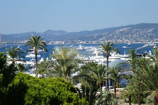 The Best of the French Riviera Small group Guided Tour from Nice - Antibes by Water and Walls: Marina Views, Cap d’Antibes, and Market Time