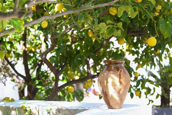 Viator Exclusive: Local Cooking Class & Dinner with View of Nice - Should you book this cooking class with a view of Nice?