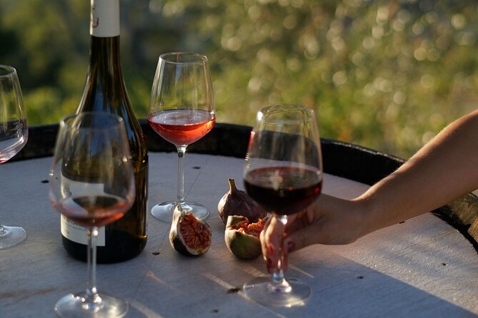 Vineyard Tour with Wine Tasting within Nice city borders - The 90-Minute Flow: Vineyard Walk, Cellar Tour, Tasting