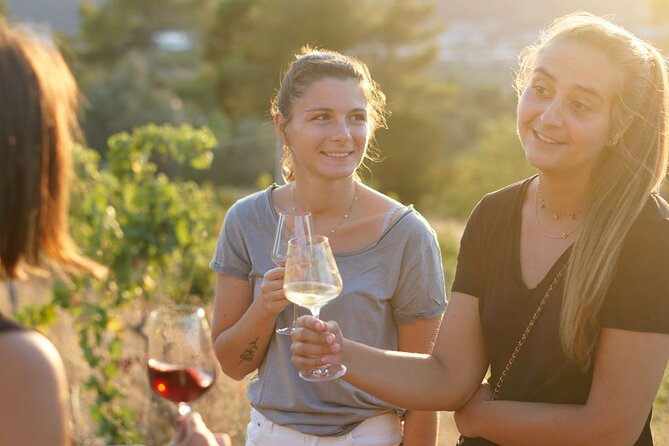 Vineyard Tour with Wine Tasting within Nice city borders - Small Group Size: Why It Makes a Difference