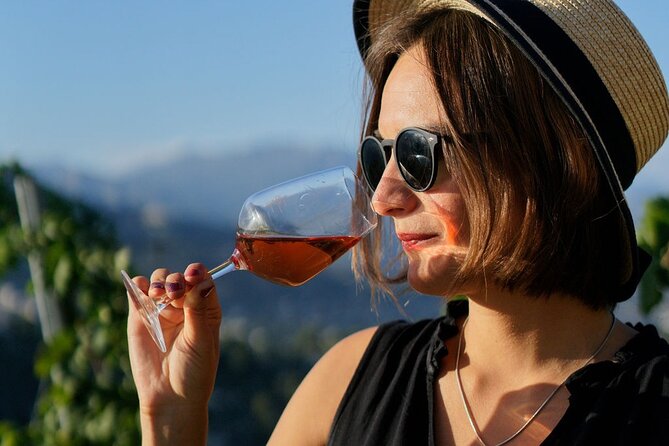 Vineyard Tour with Wine Tasting within Nice city borders - Price and Value: Is $39.91 Worth It?