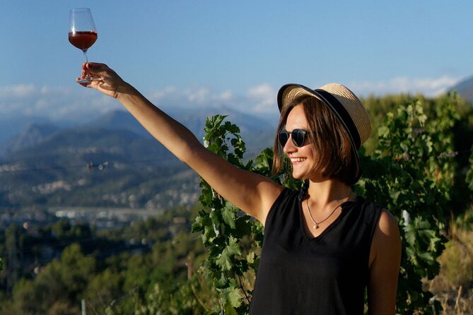 Vineyard Tour with Wine Tasting within Nice city borders - Getting There From Nice: Bus, Taxi, and the Uber Reality