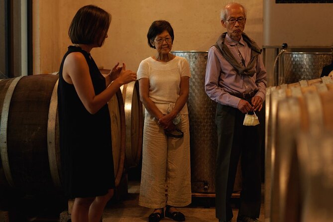 Vineyard Tour with Wine Tasting within Nice city borders - Who Should Book This (and Who Might Skip It)