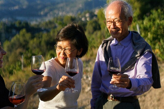 Vineyard Tour with Wine Tasting within Nice city borders - Should You Book This Vineyard Tour?