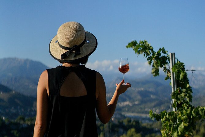 Vineyard Tour with Wine Tasting within Nice city borders - What to Actually Look For During the Walk and Tasting