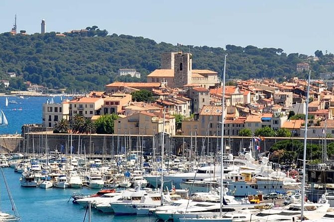 Wine Tasting, Provencal Market, Cannes and St Paul de Vence - Chateau de Cremat: wine tasting plus a real estate visit